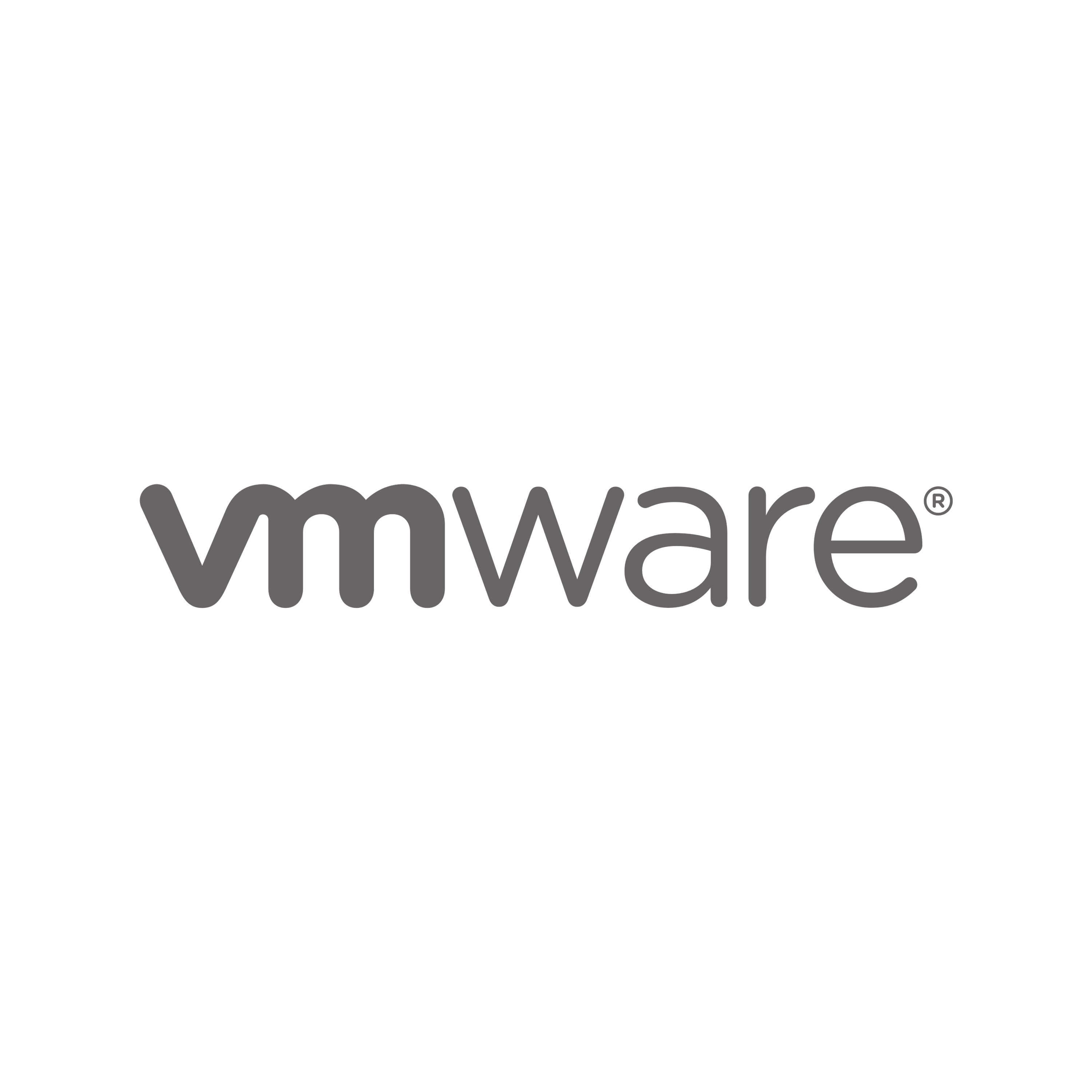 VMware